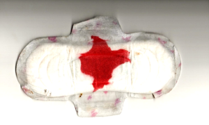 Fragmento de "Loreto" | leonardo.pe